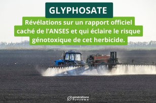 Glyphosate : Révélations sur un rapport officiel caché de l’ANSES et qui éclaire le risque génotoxique de cet herbicide.